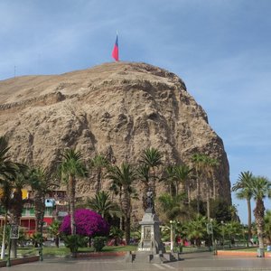 Arica