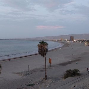 Arica