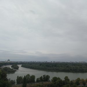 Danube and Sava