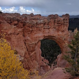 Natural Bridge