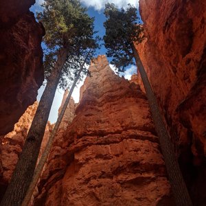 Navajo Loop