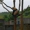 Dujiangyan Panda Base