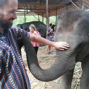 Elephant Jungle Sanctuary