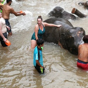 Elephant Jungle Sanctuary