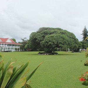 Tonga