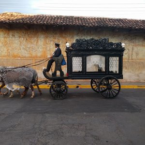 Horse drawn hearse