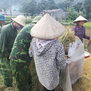 Harvest