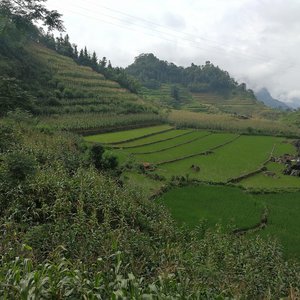 Ha Giang