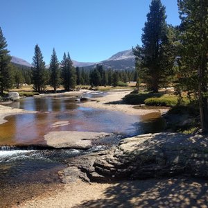 Lyell Fork of the Tuolomne River