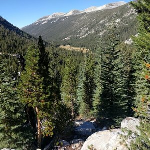 Looking back down Lyell Canyon