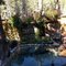 MTR hot spring