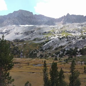 Meadow in Le Conte Canyon