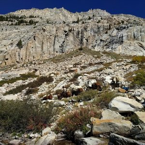 Packer on Golden Staircase