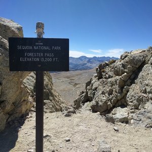 Forester Pass sign