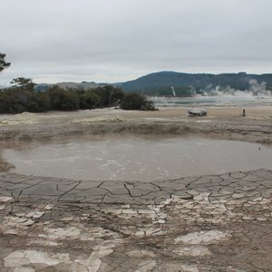 Rotorua