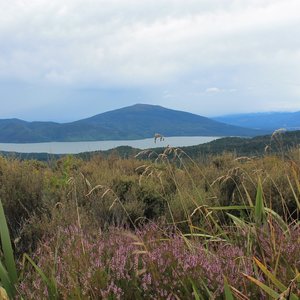 Tongariro Alpine Crossing