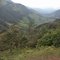 Valle Del Cocora