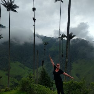 Valle Del Cocora