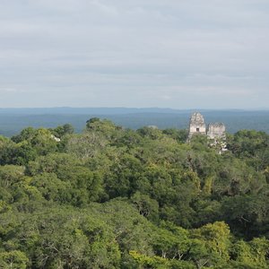 View from Temple IV