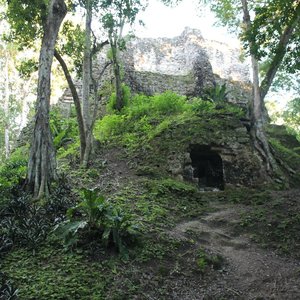 Tikal