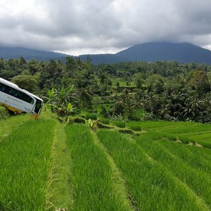 Jatiluwih Rice Terraces