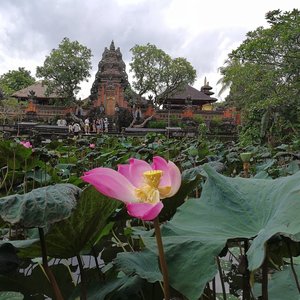 Pura Taman Saraswati