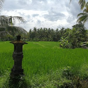 Ubud