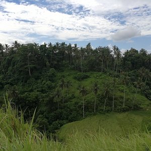 Campuhan Ridge