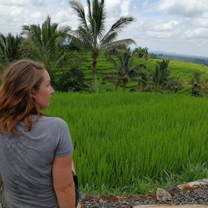 Jatiluwih Rice Terraces