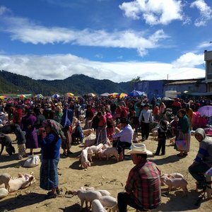 Market in San Francisco El Alto