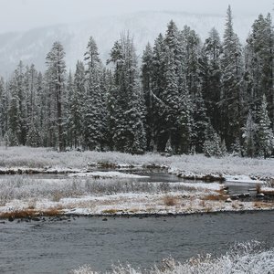 Lewis River