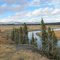 Yellowstone River