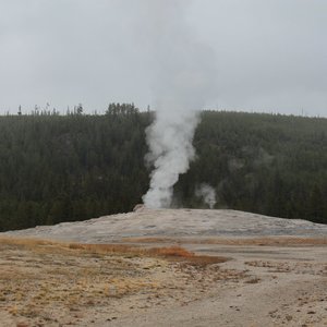 Old Faithful