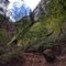 The Narrows after Rain