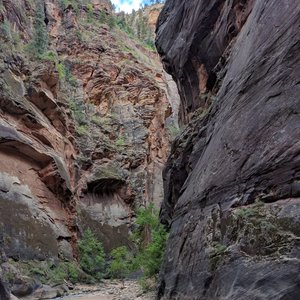 Narrows