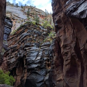 The Narrows after Rain