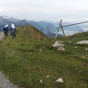 Stoos Ridge Trail